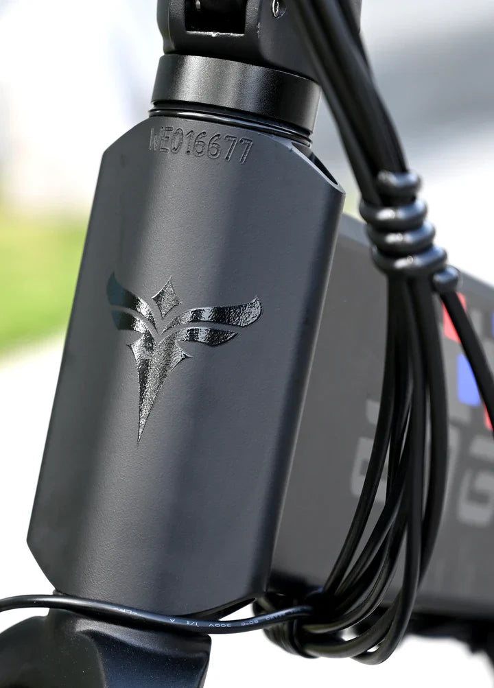 Vélo électrique Fatbike | Engwe Engine X | 250 W | V-max 25 km/h | Autonomie 100 km - Urban Bikes