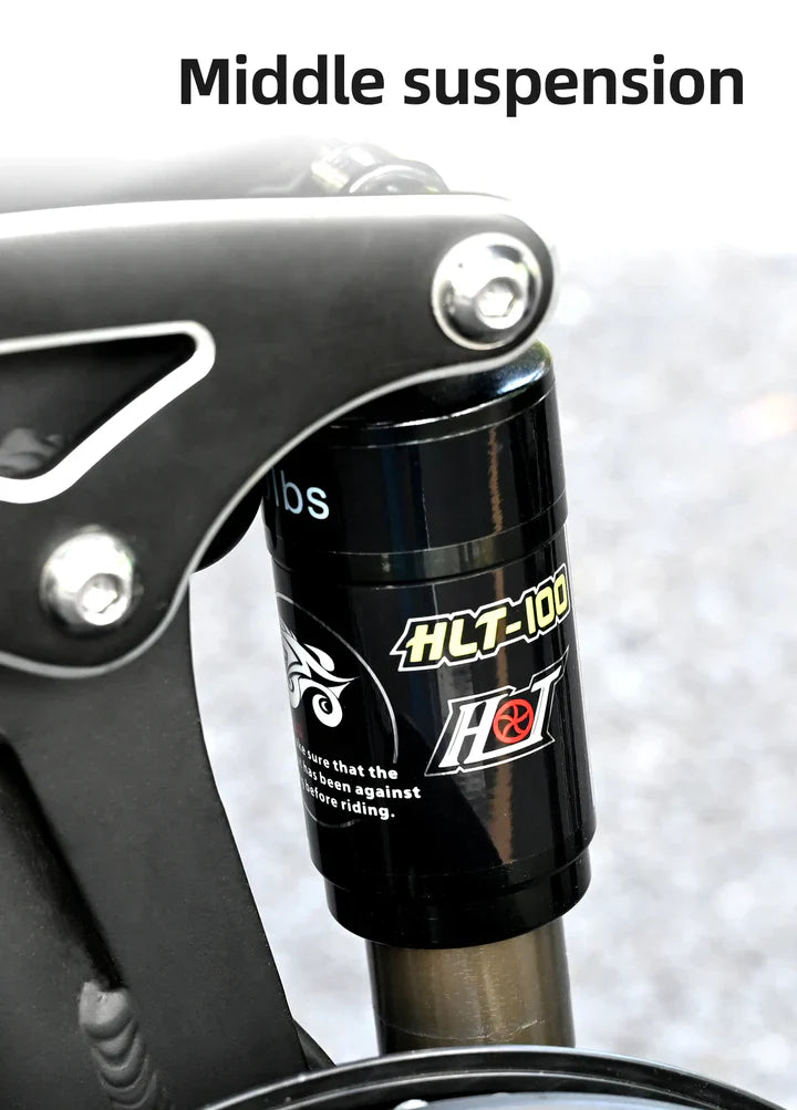 Vélo électrique Fatbike | Engwe Engine X | 250 W | V-max 25 km/h | Autonomie 100 km - Urban Bikes