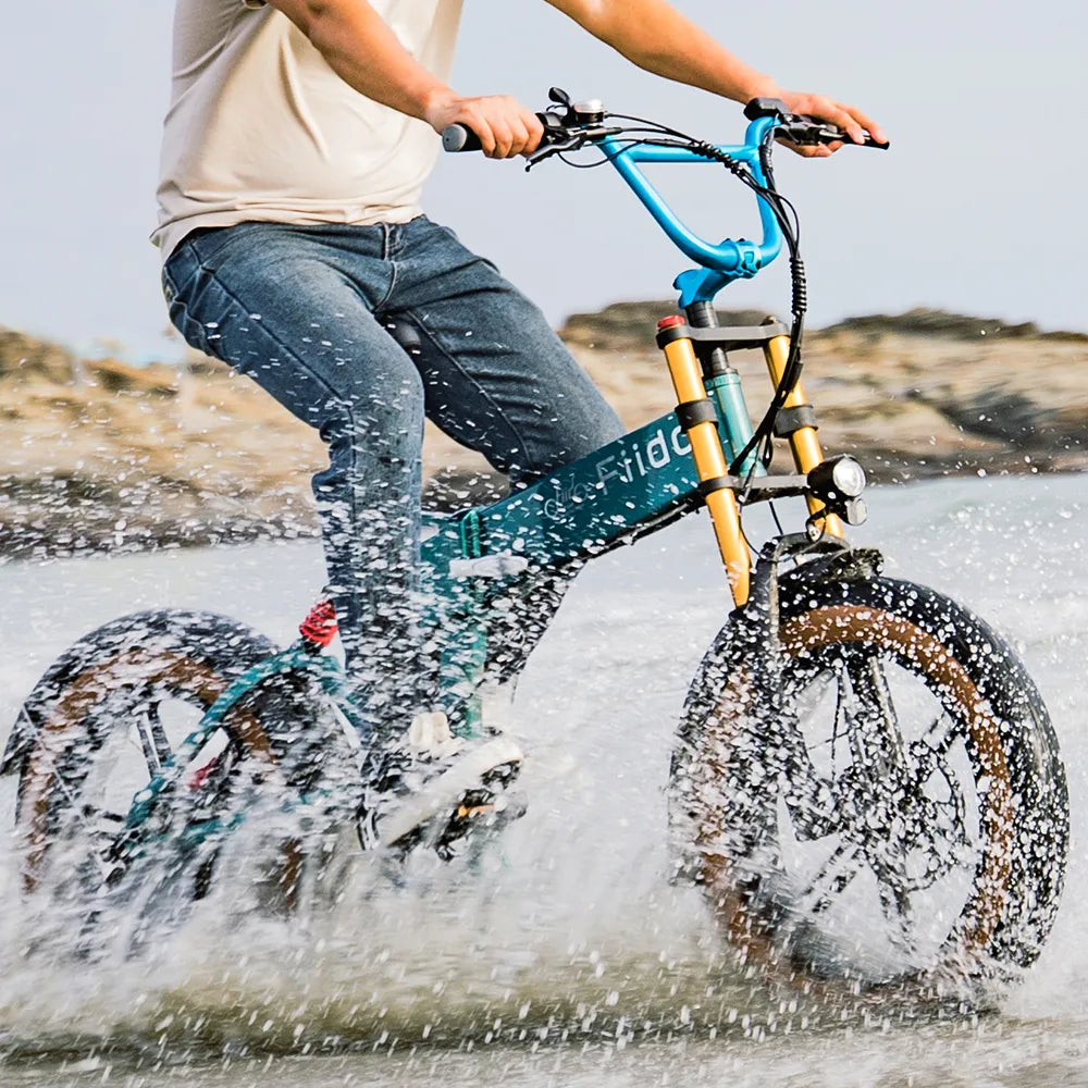 Vélo électrique Fatbike | Fiido M1 Pro | 250 W – 50 Nm | V‑max 25 km/h | Autonomie 88,8 km - Urban Bikes