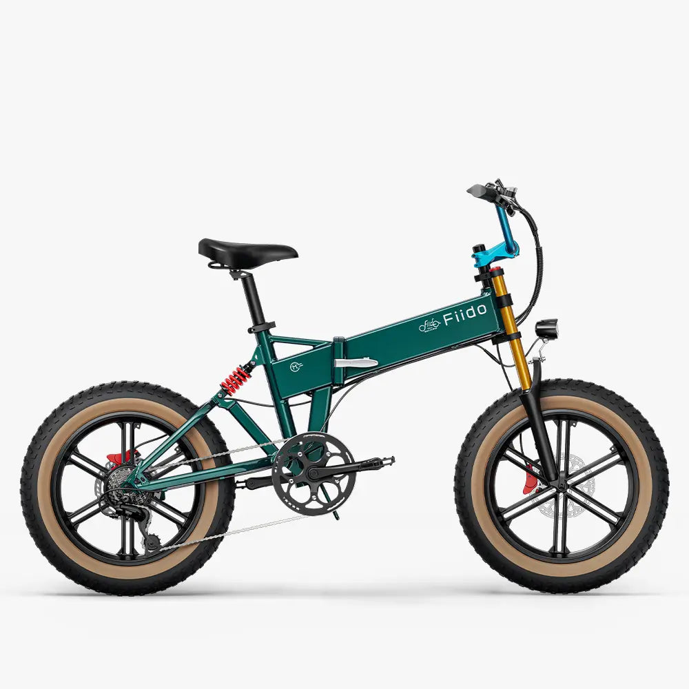 Vélo électrique Fatbike | Fiido M1 Pro | 250 W – 50 Nm | V‑max 25 km/h | Autonomie 88,8 km - Urban Bikes