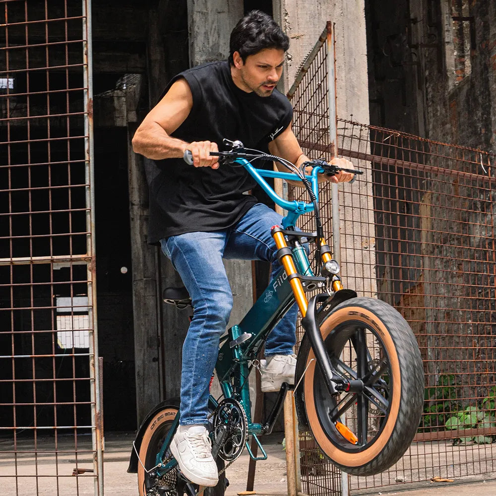 Vélo électrique Fatbike | Fiido M1 Pro | 250 W – 50 Nm | V‑max 25 km/h | Autonomie 88,8 km - Urban Bikes