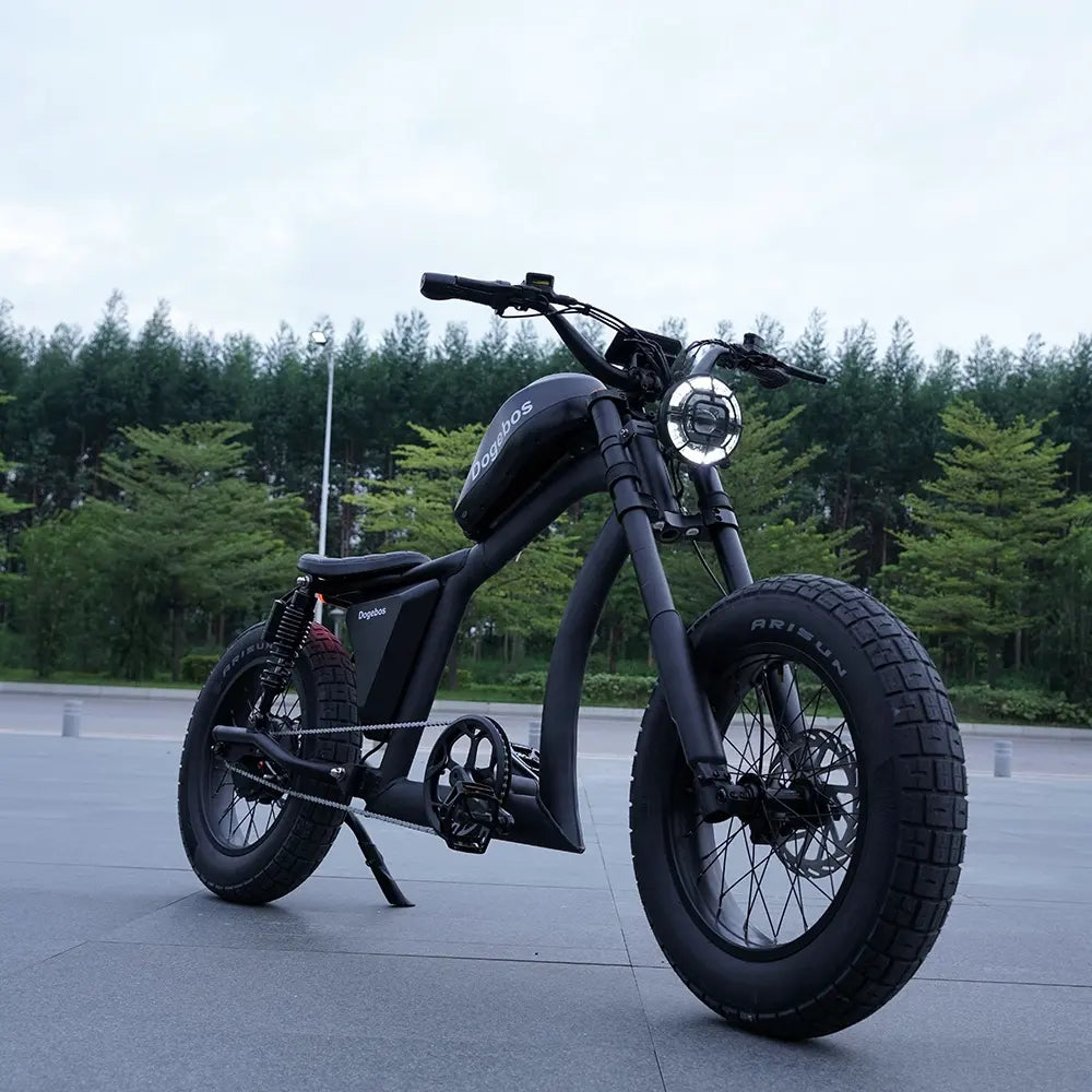 Vélo Électrique | Dogebos FT-02 S | 750 W | V-max 25 km/h | Autonomie 60-100 km - Urban Bikes