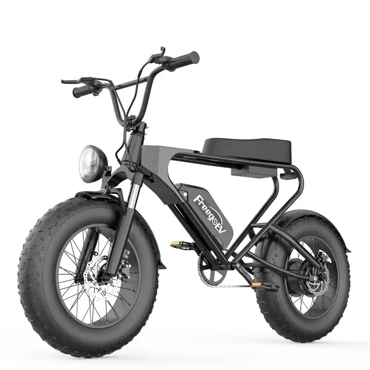 Vélo électrique Fatbike | FREEGO DK 200 | 1200 W | V-max 25 km/h | Autonomie 65 km
