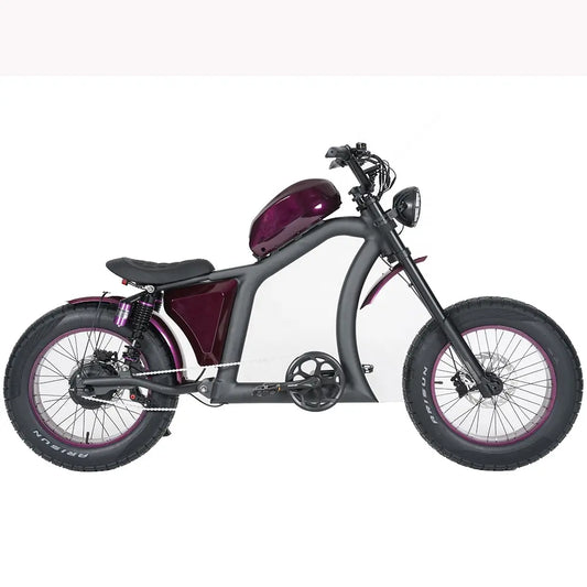 Vélo Électrique | Dogebos FT-02 S | 750 W | V-max 25 km/h | Autonomie 60-100 km - Urban Bikes