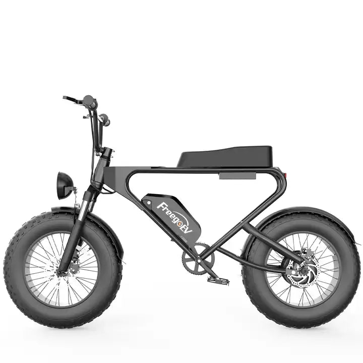 Vélo électrique Fatbike | FREEGO DK 200 | 1200 W | V-max 25 km/h | Autonomie 65 km
