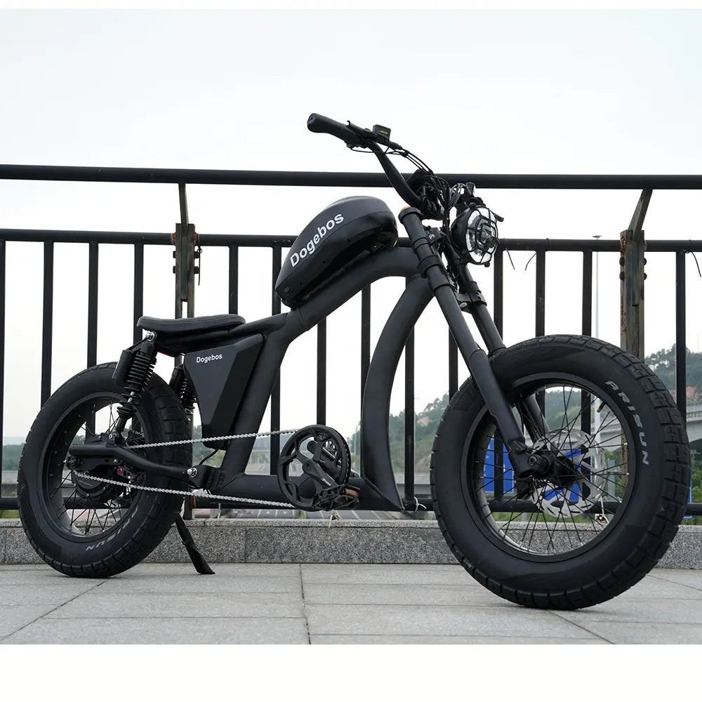 Vélo Électrique | Dogebos FT-02 S | 750 W | V-max 25 km/h | Autonomie 60-100 km - Urban Bikes