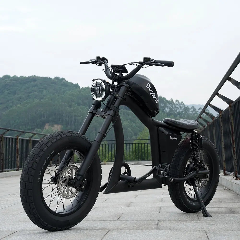 Vélo Électrique | Dogebos FT-02 S | 750 W | V-max 25 km/h | Autonomie 60-100 km - Urban Bikes