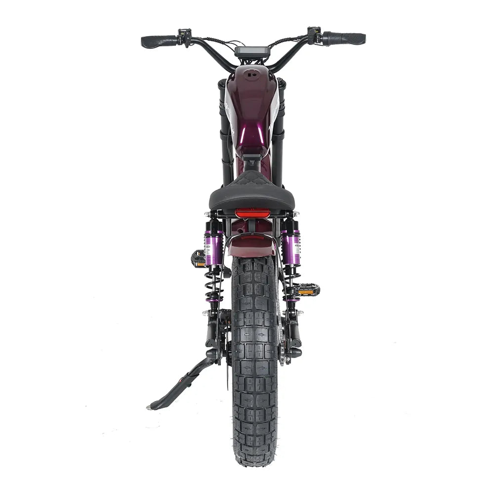 Vélo Électrique | Dogebos FT-02 S | 750 W | V-max 25 km/h | Autonomie 60-100 km - Urban Bikes