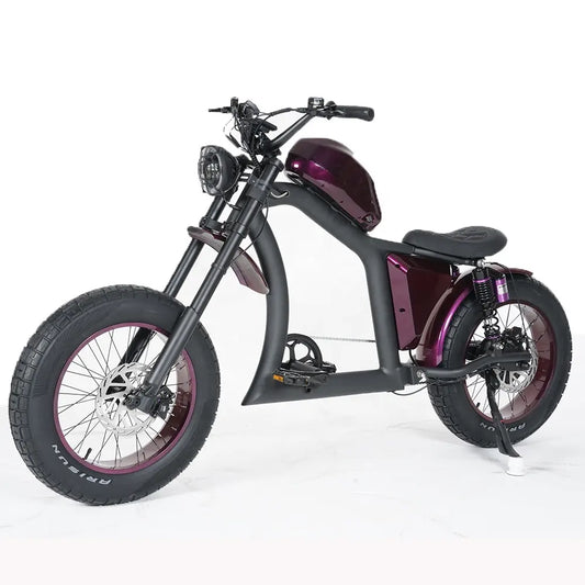 Vélo Électrique | Dogebos FT-02 S | 750 W | V-max 25 km/h | Autonomie 60-100 km - Urban Bikes