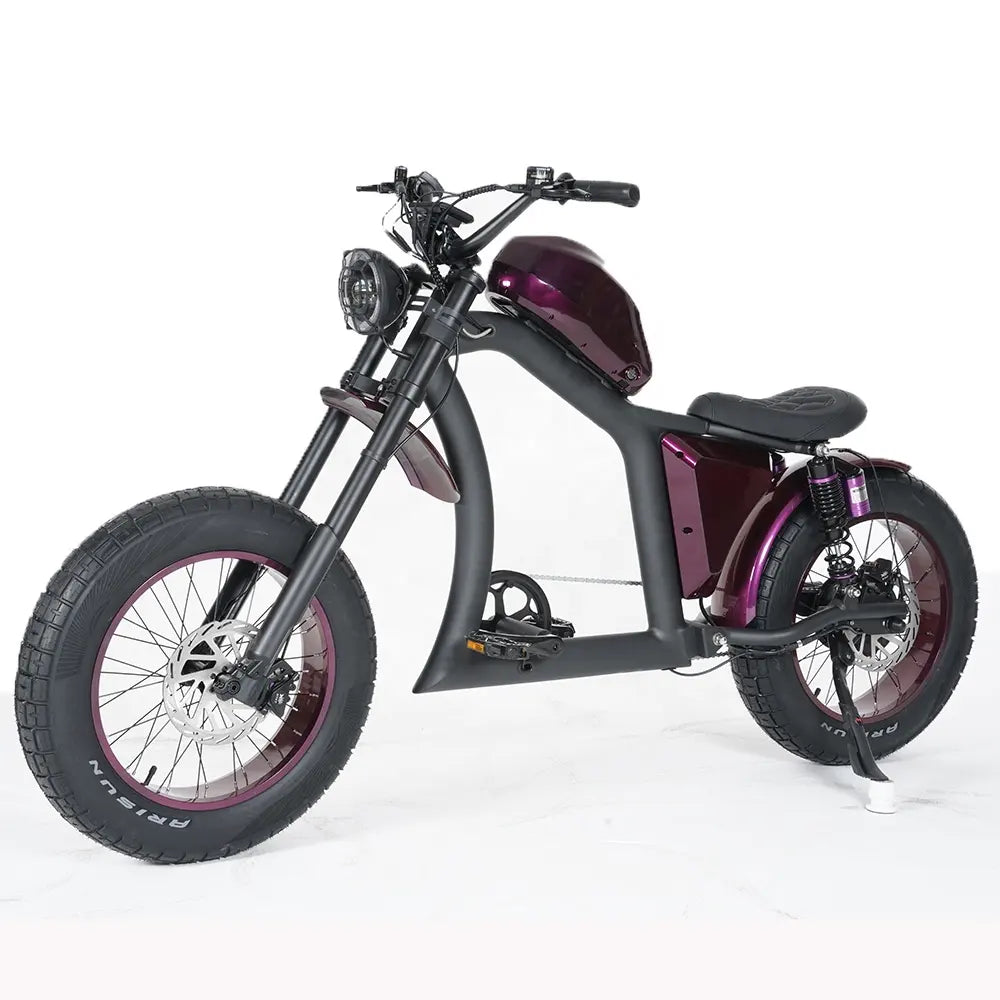 Vélo Électrique | Dogebos FT-02 S | 750 W | V-max 25 km/h | Autonomie 60-100 km - Urban Bikes