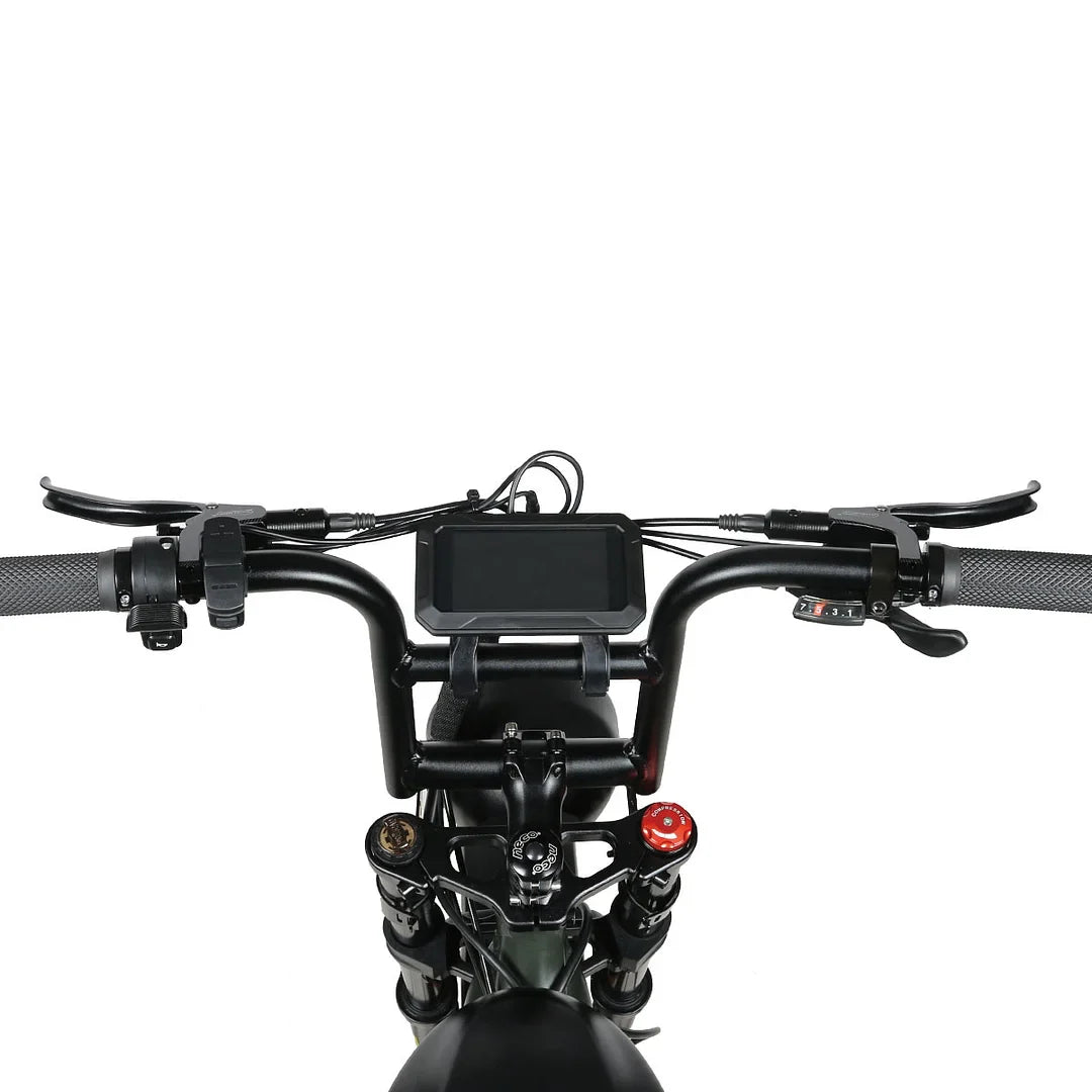 Vélo électrique Fatbike | SAMEBIKE M20 | 1000 W | V-max 25 km/h | Autonomie 80 km - Urban Bikes