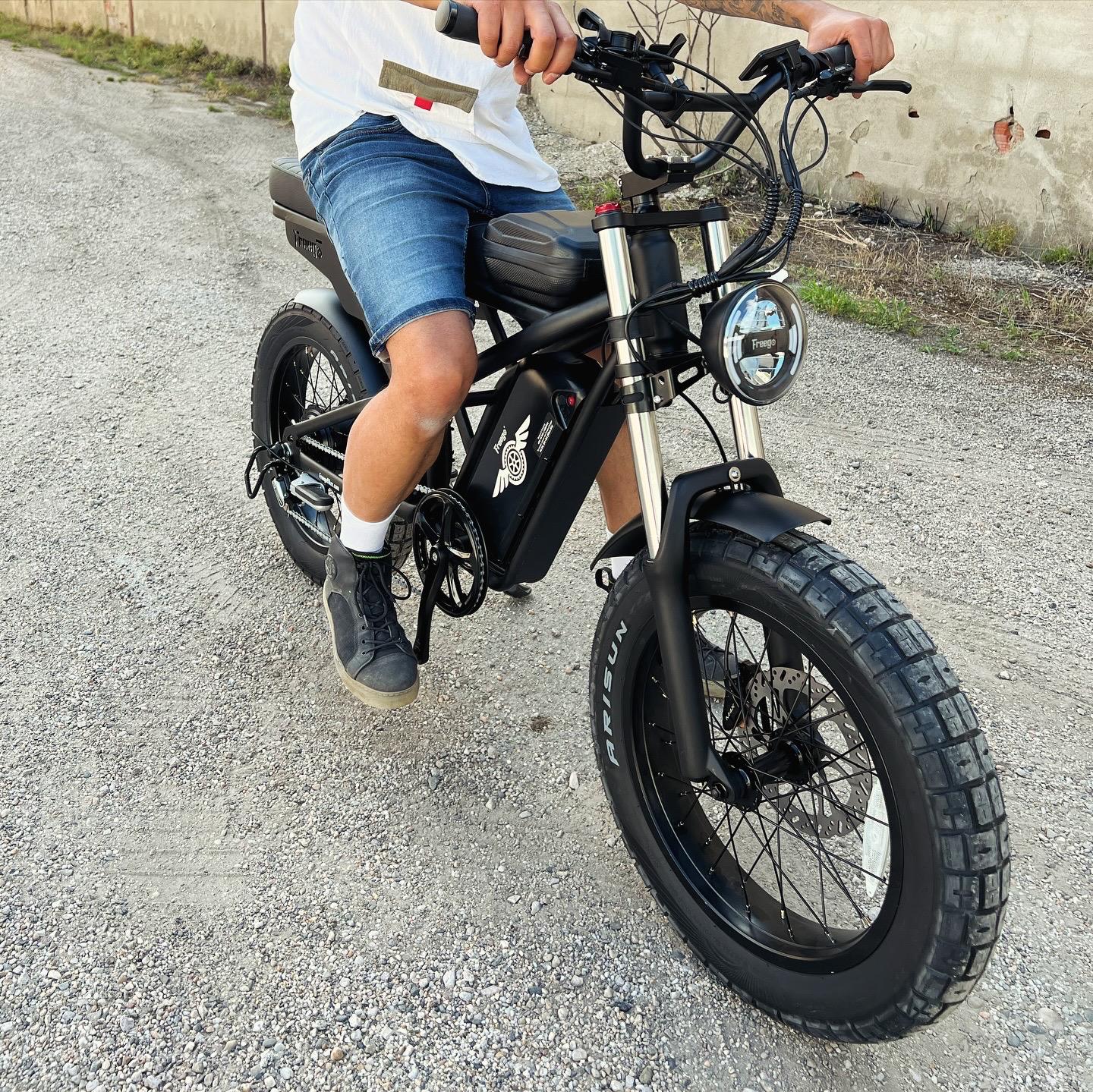 Vélo électrique Fatbike | FREEGO F2 PRO | 1400 W | V-max 25 km/h | Autonomie 80 km - Urban Bikes