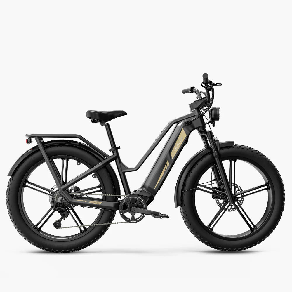 Vélo électrique Fatbike | Fiido Titan | 750 W | V‑max 25 km/h | Autonomie 115 km - Urban Bikes