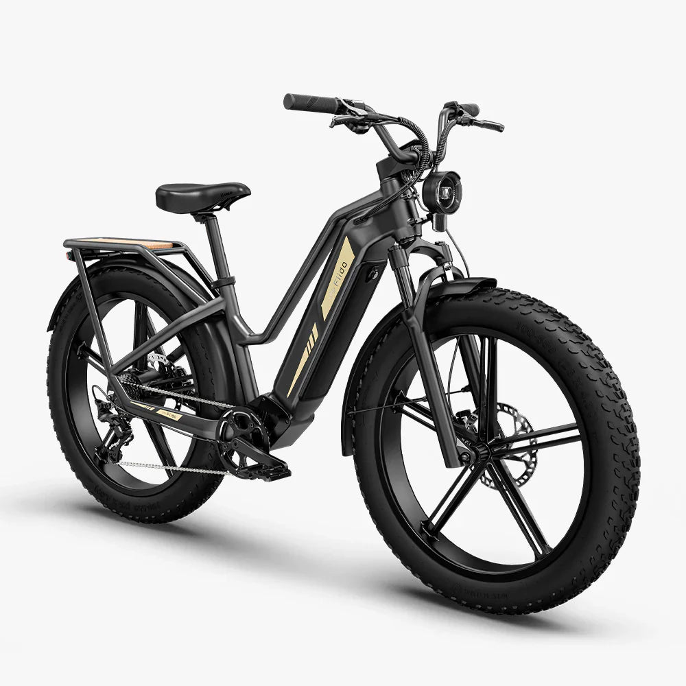 Vélo électrique Fatbike | Fiido Titan | 750 W | V‑max 25 km/h | Autonomie 115 km - Urban Bikes