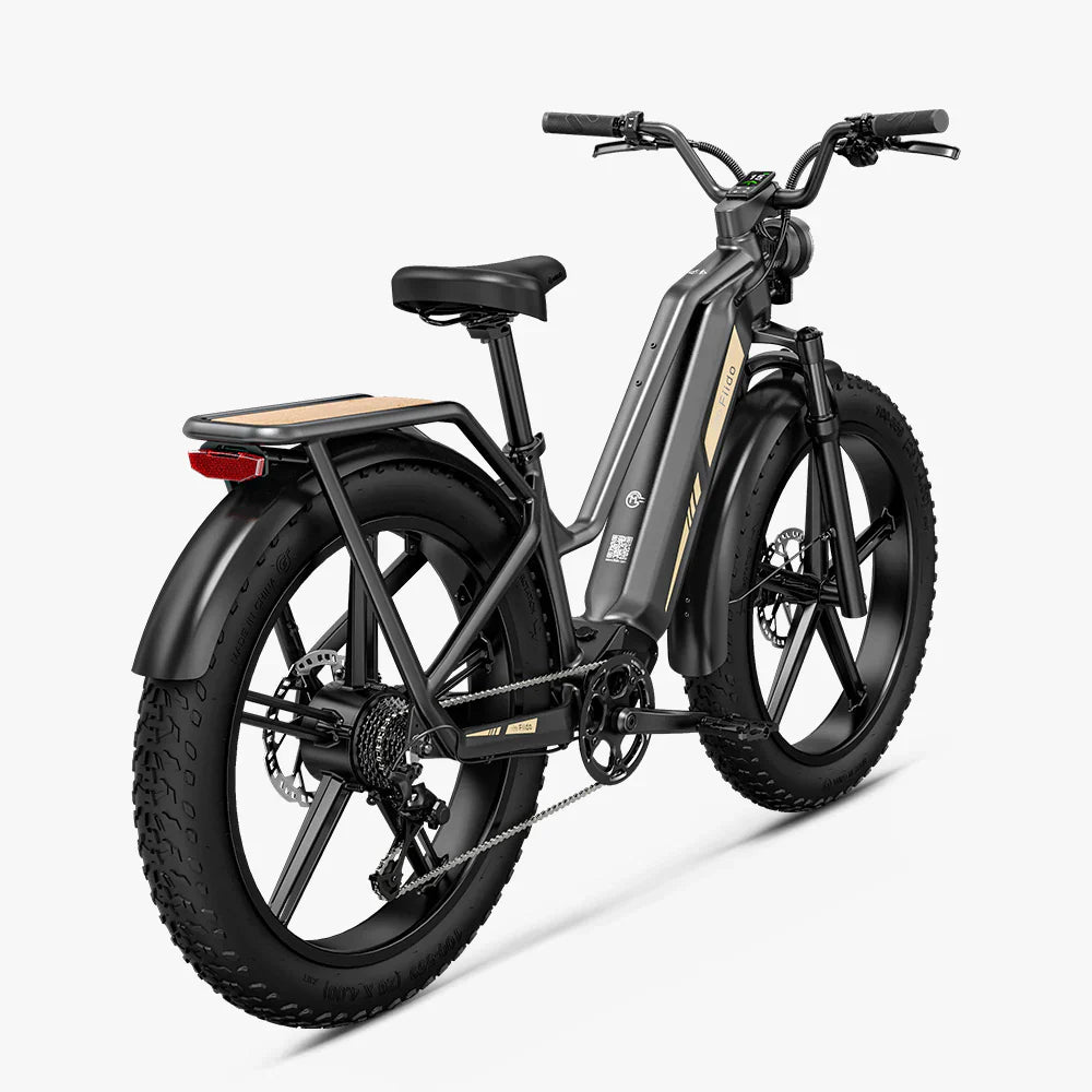 Vélo électrique Fatbike | Fiido Titan | 750 W | V‑max 25 km/h | Autonomie 115 km - Urban Bikes