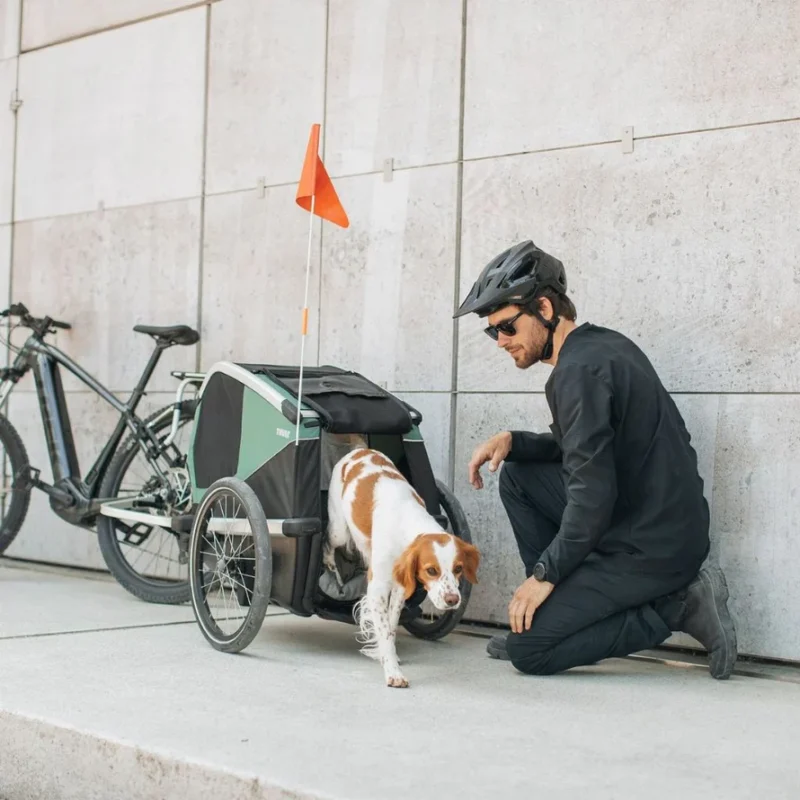 Remorque Vélo pour chien Thule Bexey M – Image 8