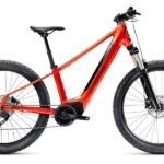 Vélo Électrique Gitane G-One REDWOOD 1+