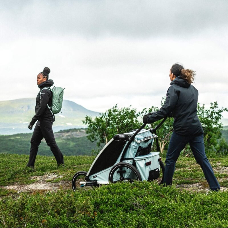 Thule Chariot Cross 1 - Remorque Vélo pour 1 Enfants - alaska – Image 19